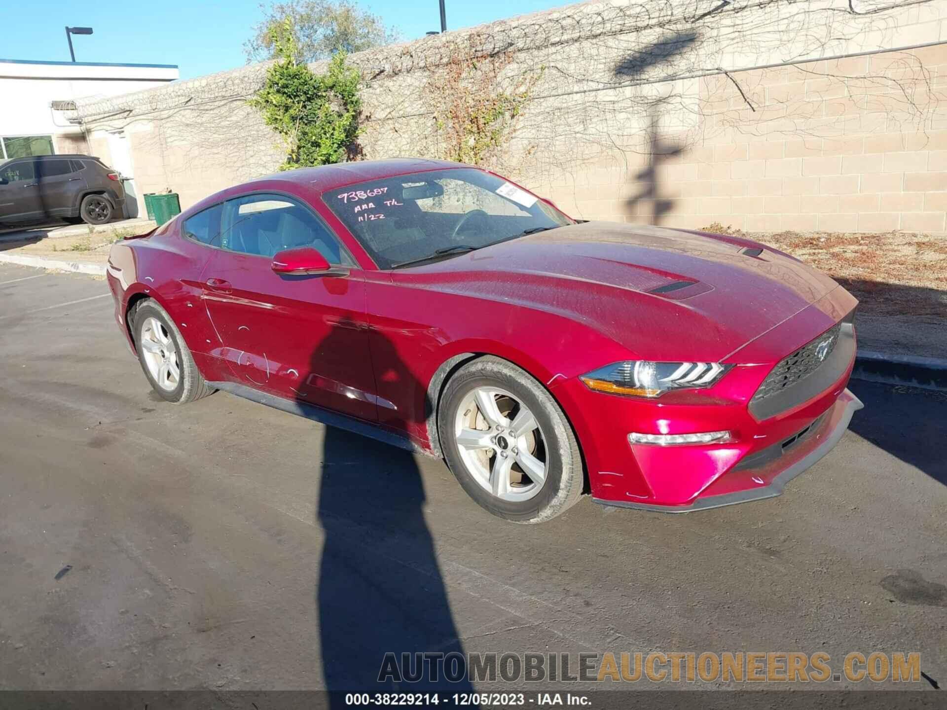 1FA6P8TH2K5148149 FORD MUSTANG 2019