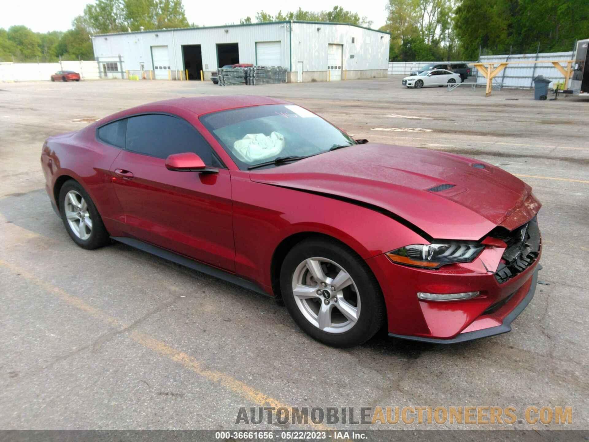 1FA6P8TH7K5204621 FORD MUSTANG 2019