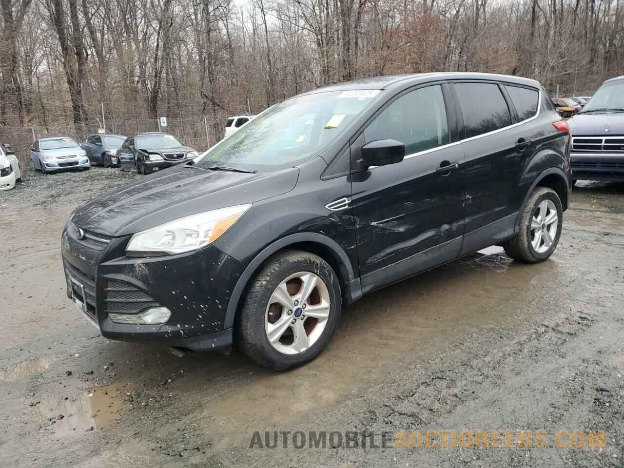 1FMCU0GX1EUA67206 FORD ESCAPE 2014