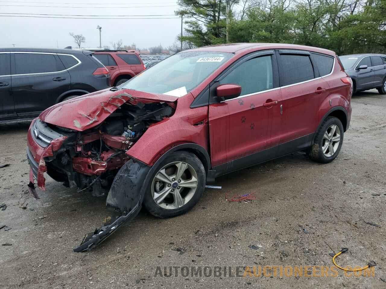 1FMCU0GX1EUB92920 FORD ESCAPE 2014