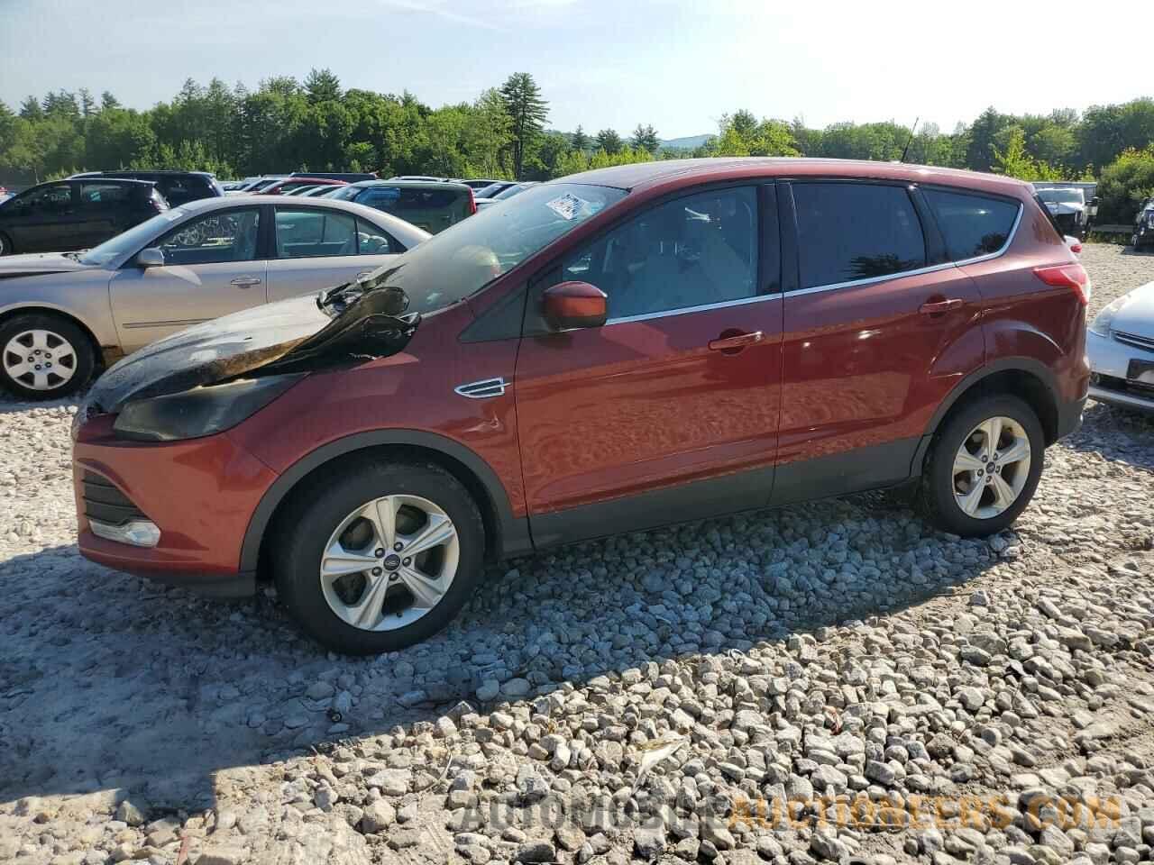 1FMCU0GXXEUB81477 FORD ESCAPE 2014