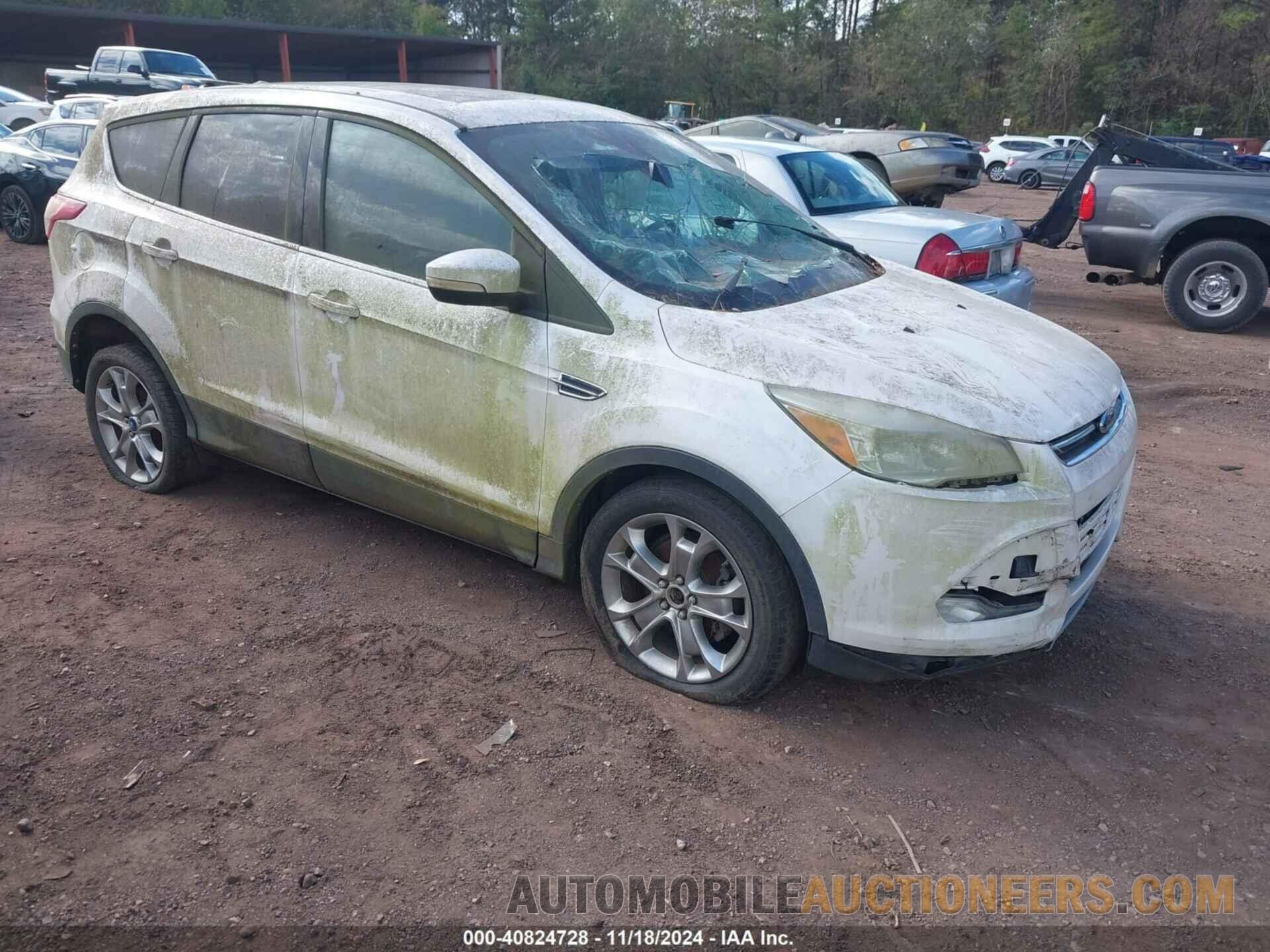 1FMCU0HX1DUB86256 FORD ESCAPE 2013