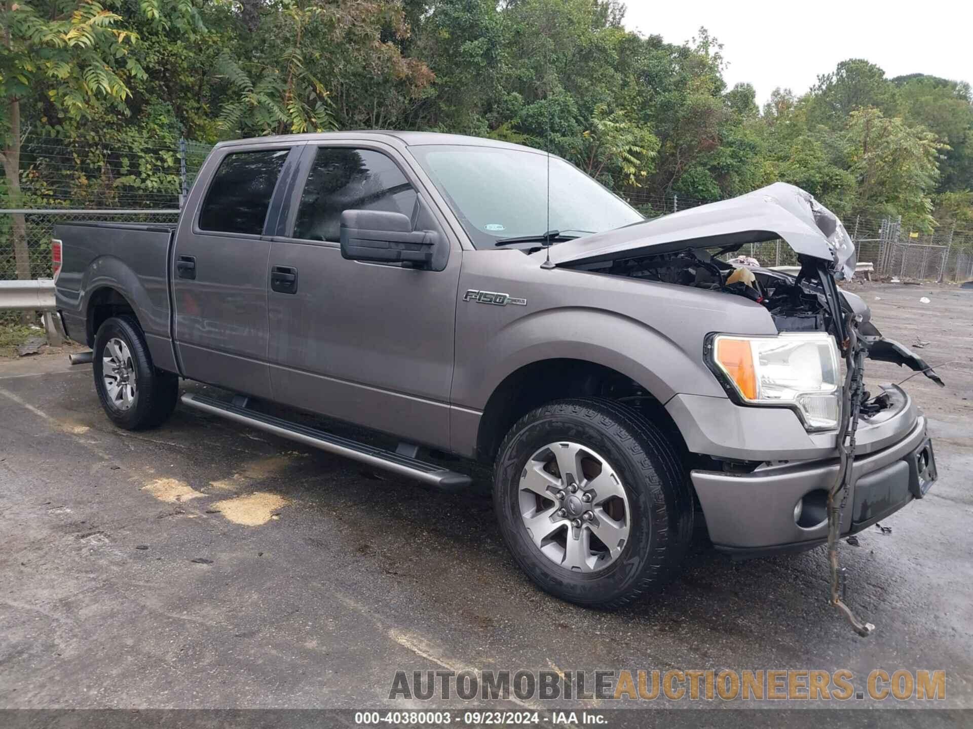 1FTEW1CM2CKD02892 FORD F-150 2012