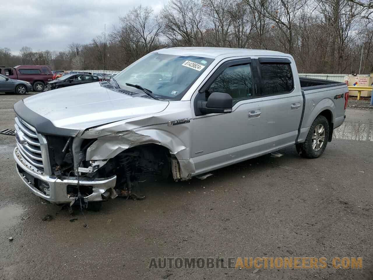 1FTEW1EG3FFB96134 FORD F-150 2015