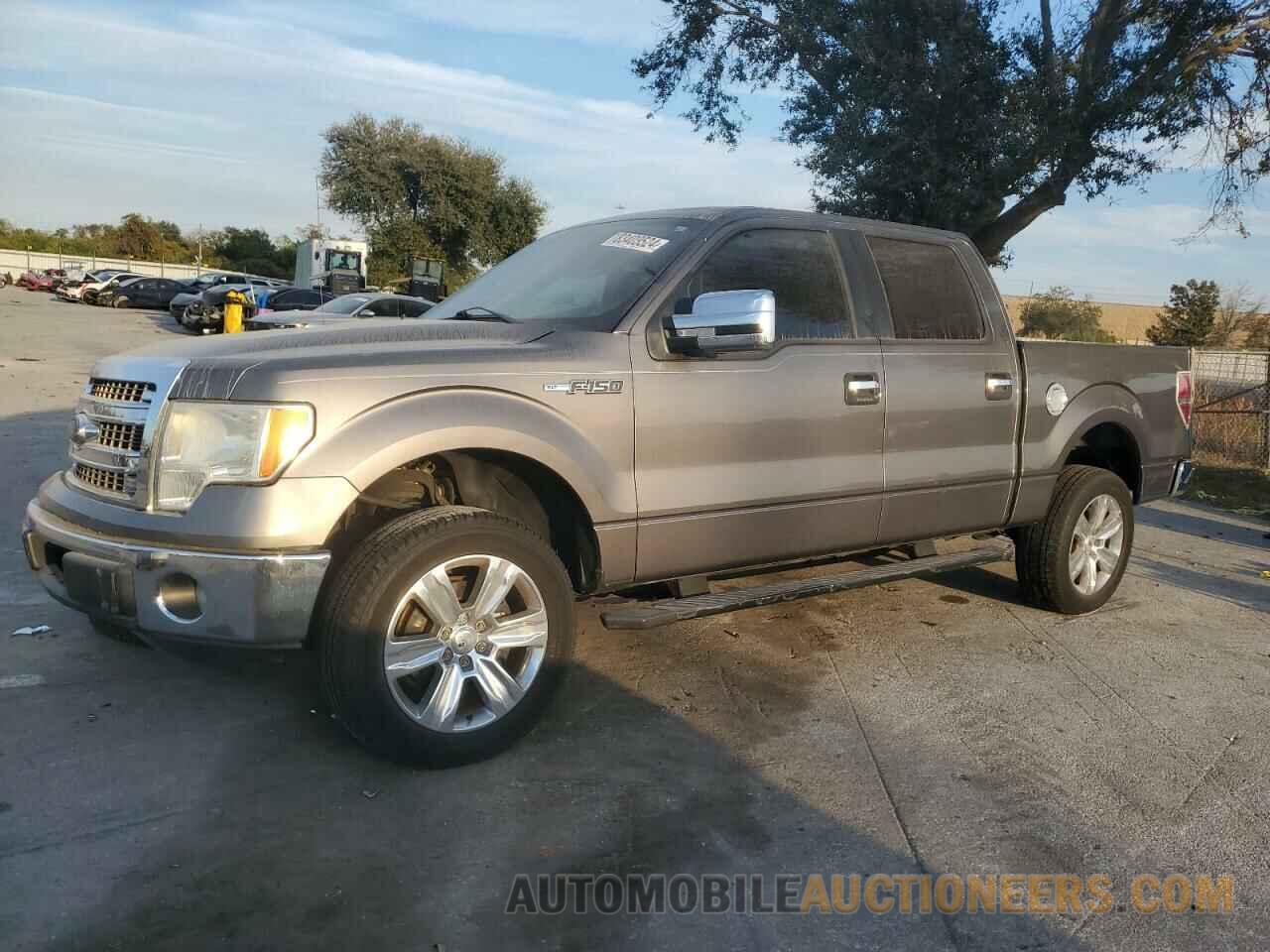 1FTFW1CF7DFB46042 FORD F150 2013