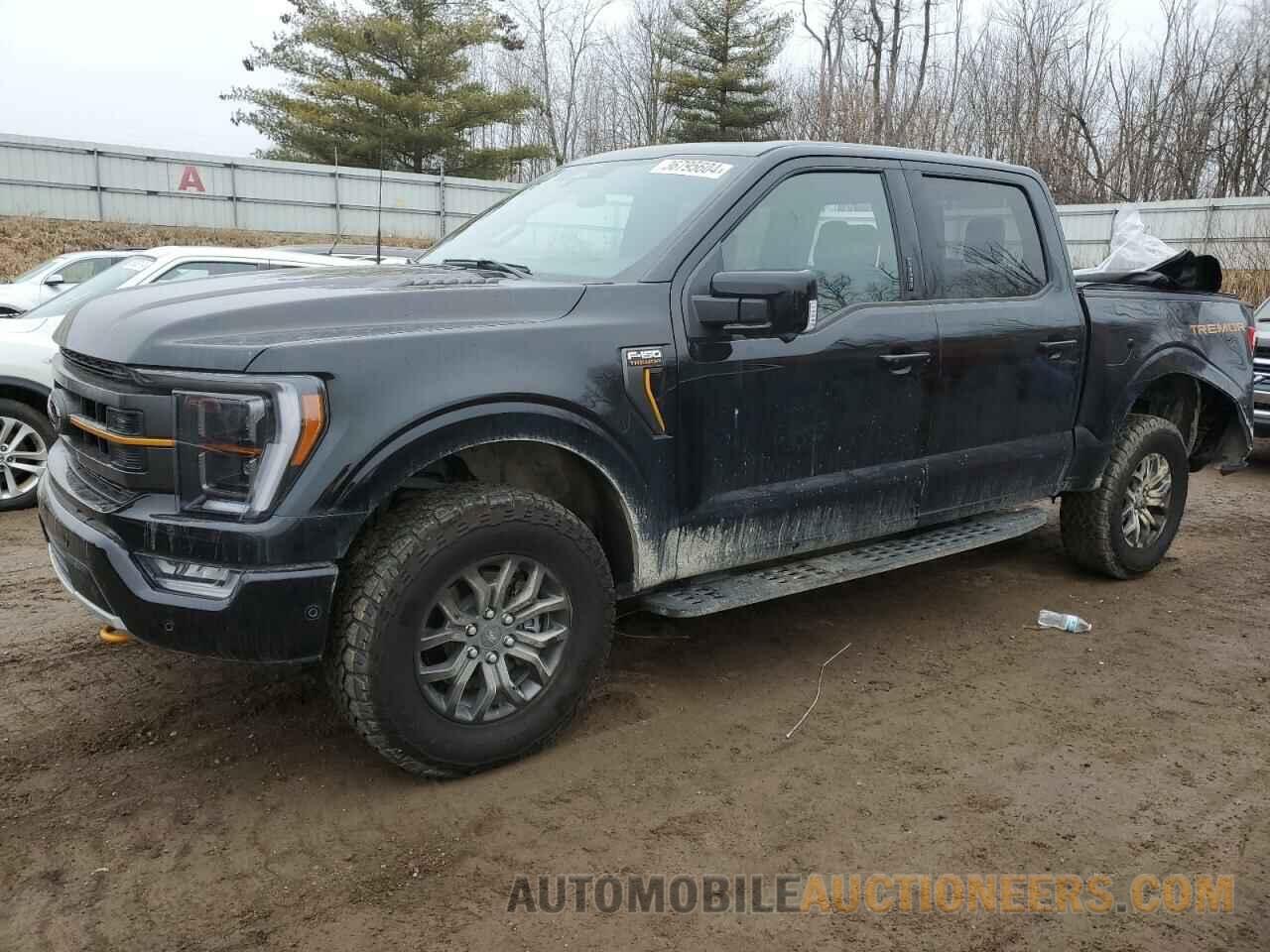 1FTFW1E57PFB41769 FORD F-150 2023