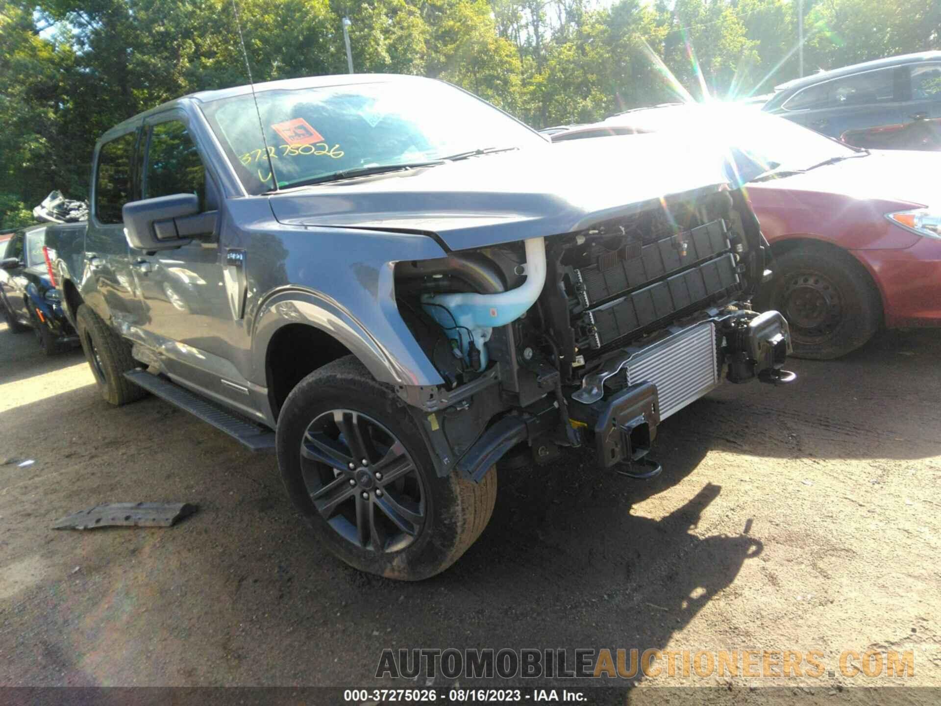 1FTFW1ED0MFC99261 FORD F-150 2021