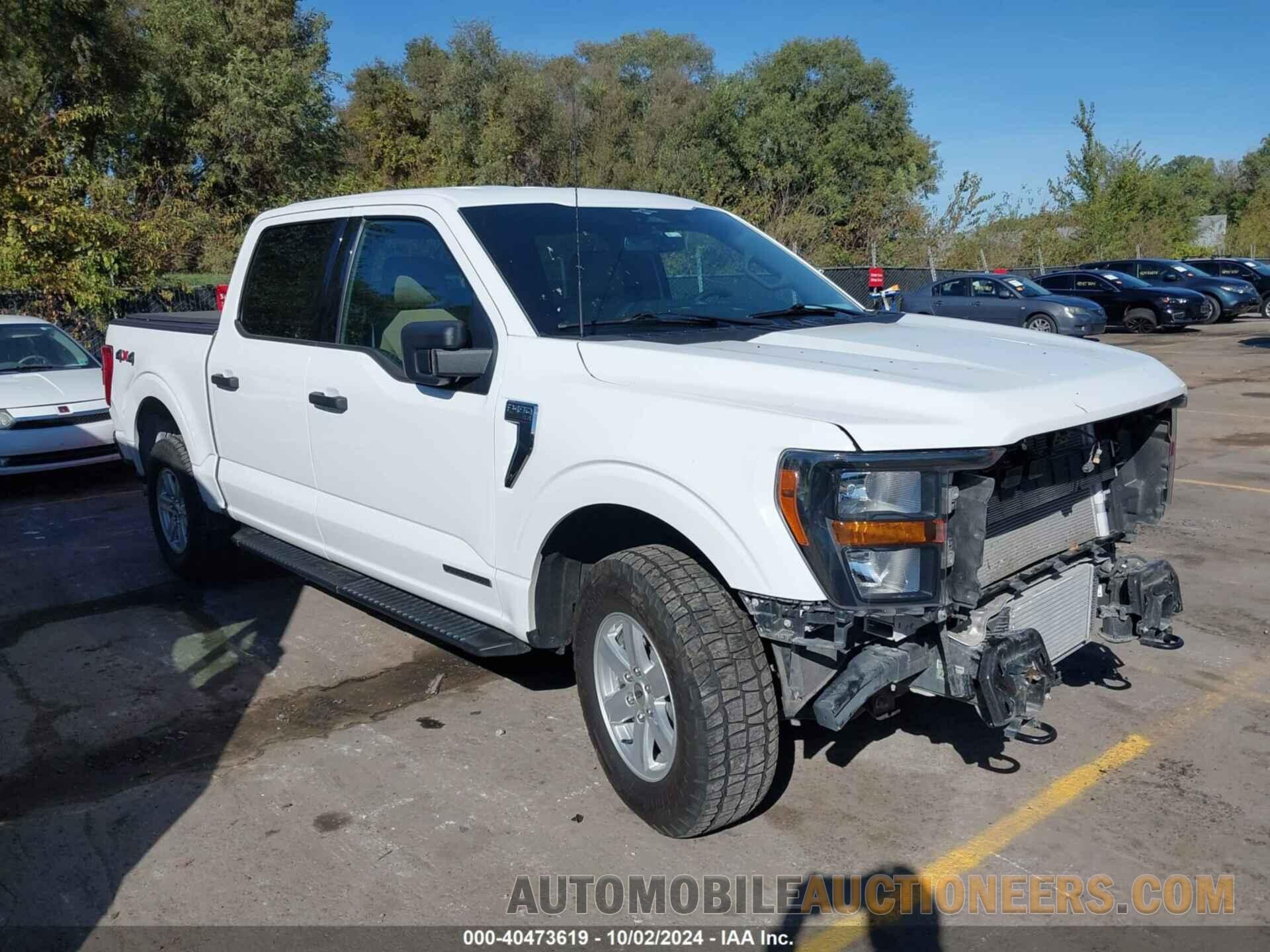 1FTFW1ED1PFA06052 FORD F-150 2023