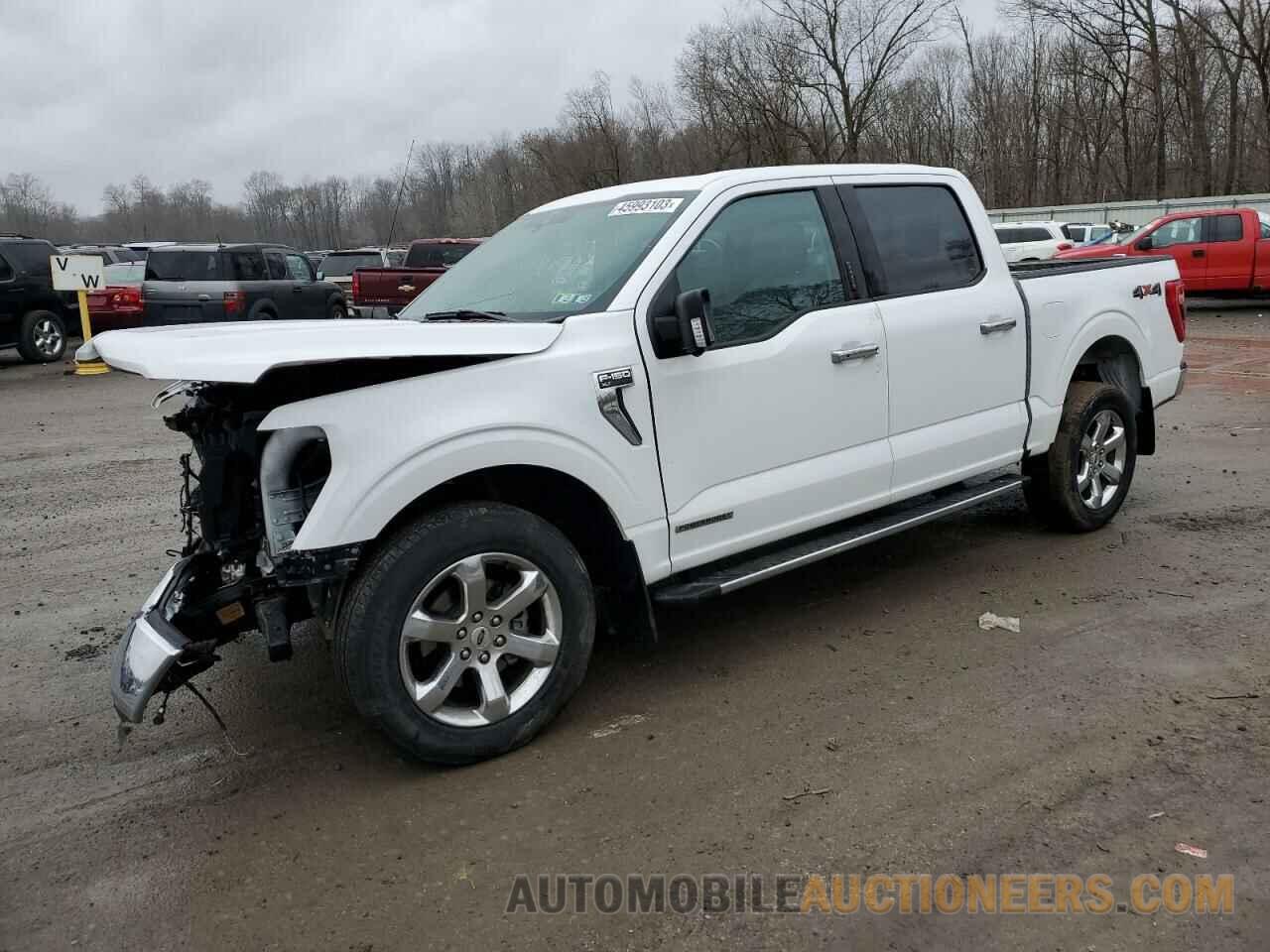 1FTFW1ED4MFA88936 FORD F-150 2021