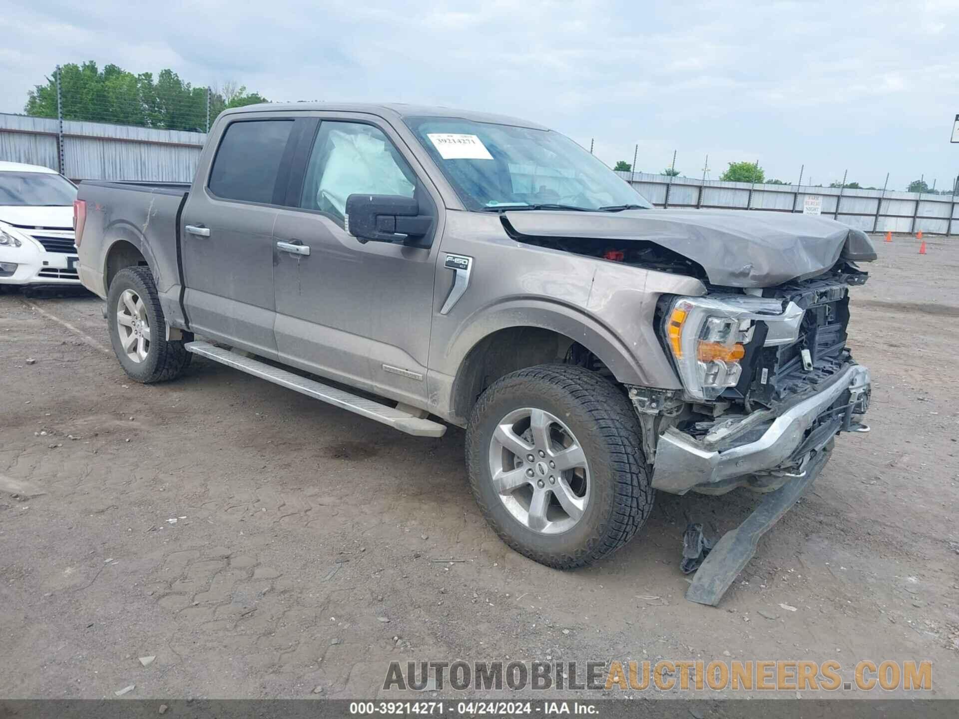 1FTFW1ED4MFB12751 FORD F-150 2021