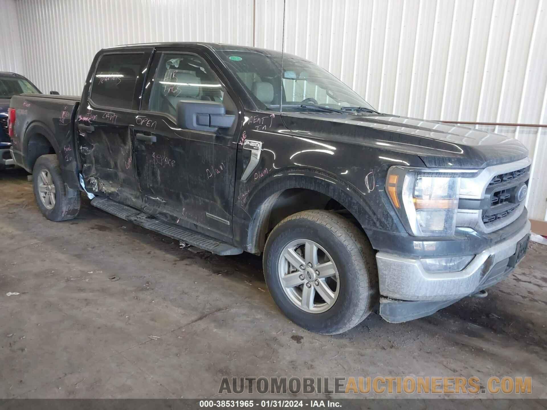 1FTFW1ED5PFA91851 FORD F-150 2023