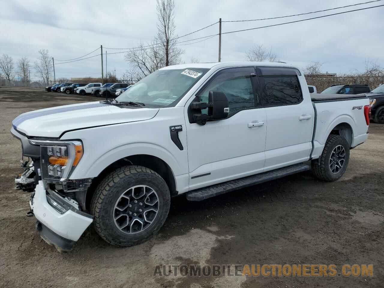 1FTFW1ED6NFB27365 FORD F-150 2022