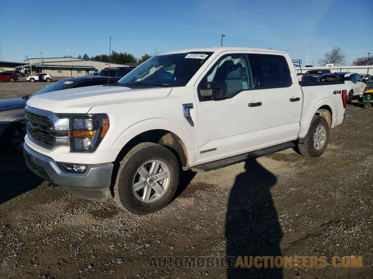 1FTFW1ED6PFA39595 FORD F-150 2023