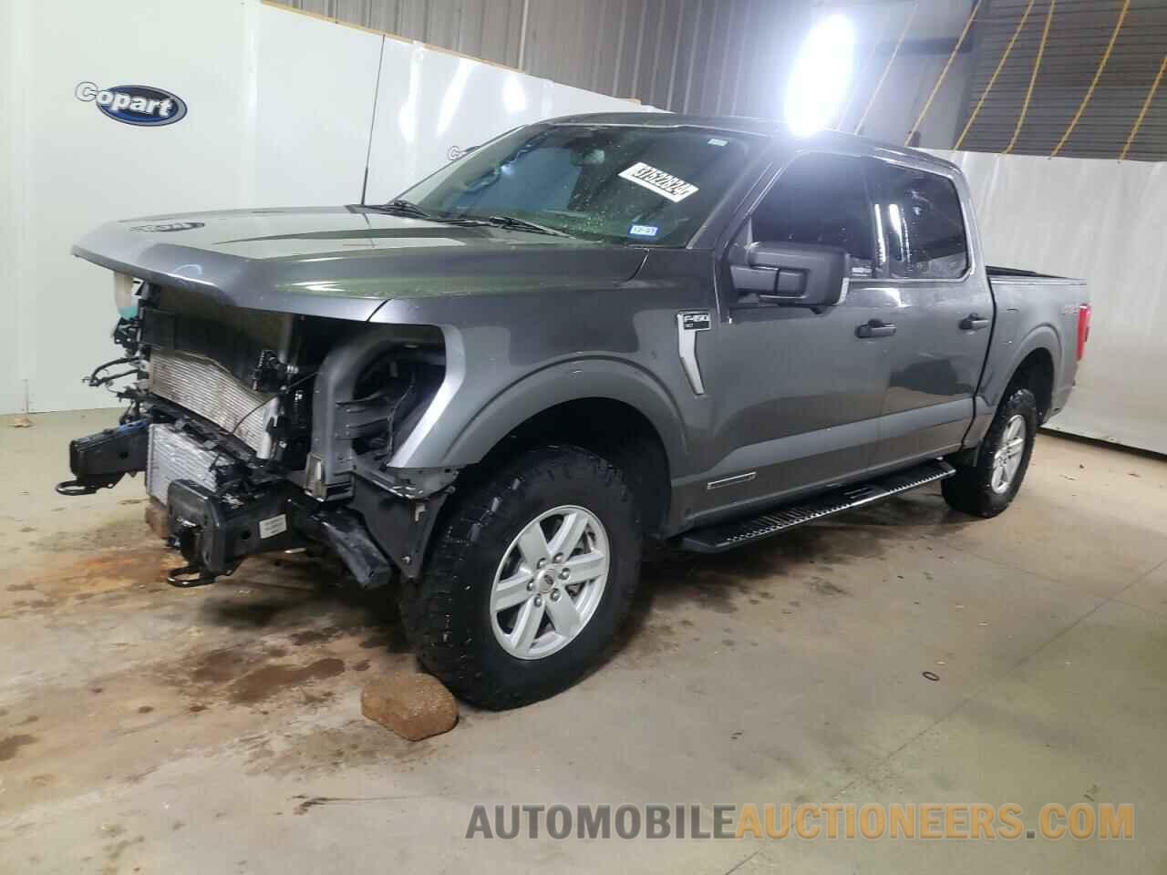 1FTFW1ED7PFA15564 FORD F-150 2023