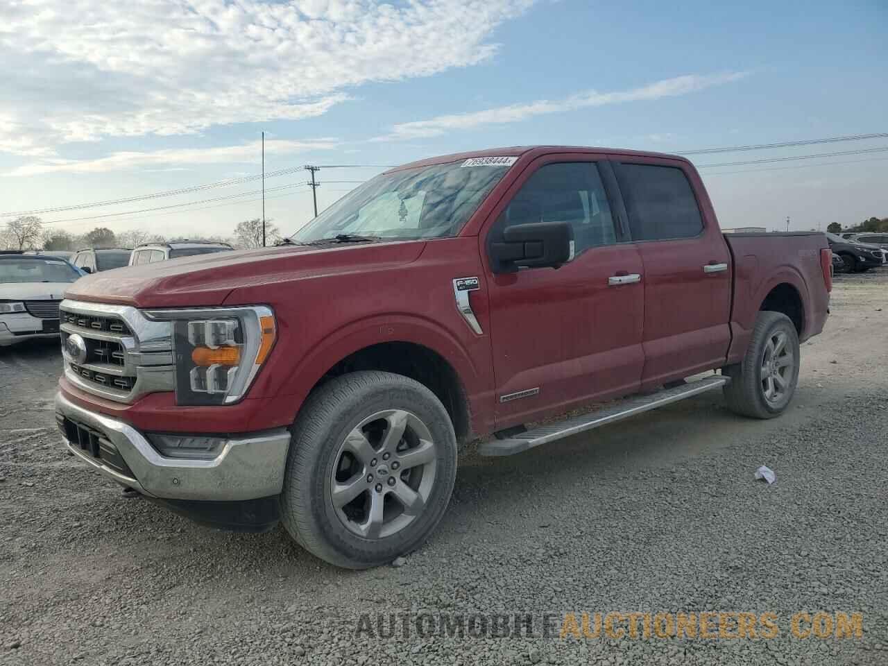 1FTFW1ED8NFA41331 FORD F-150 2022