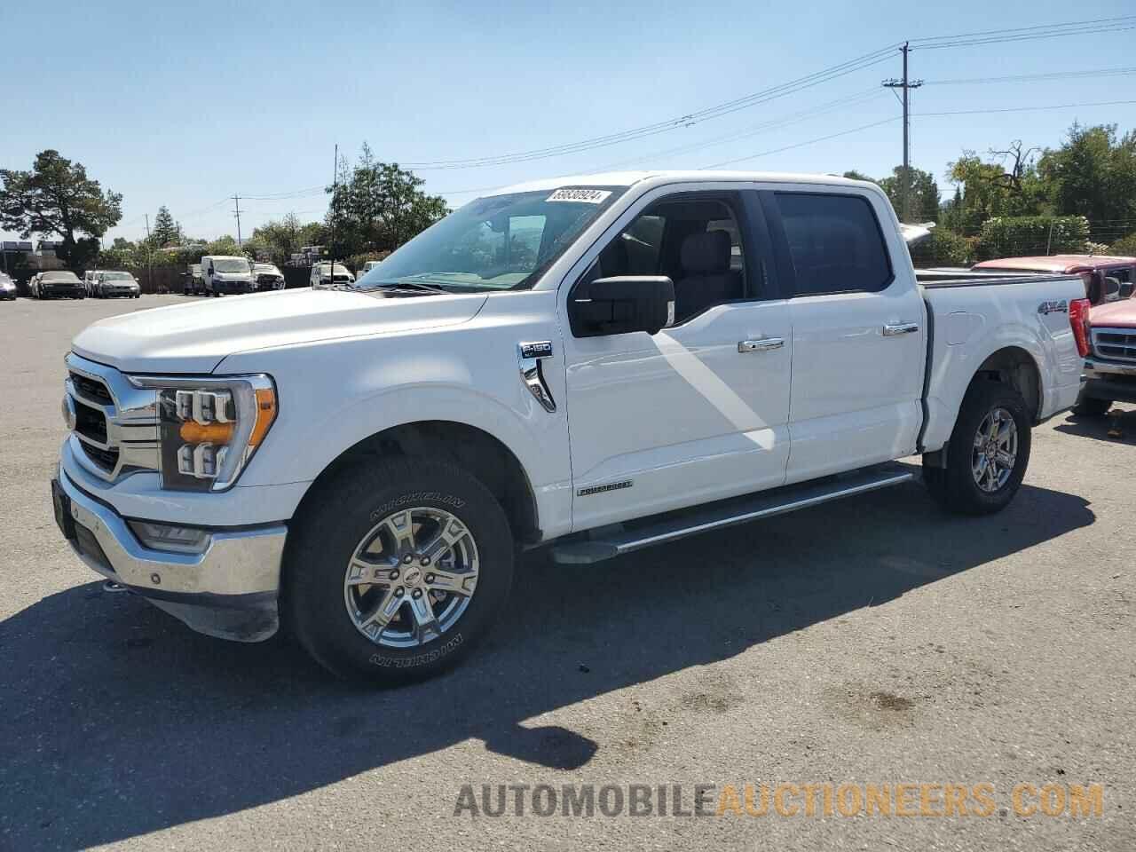 1FTFW1ED9MFC64198 FORD F-150 2021