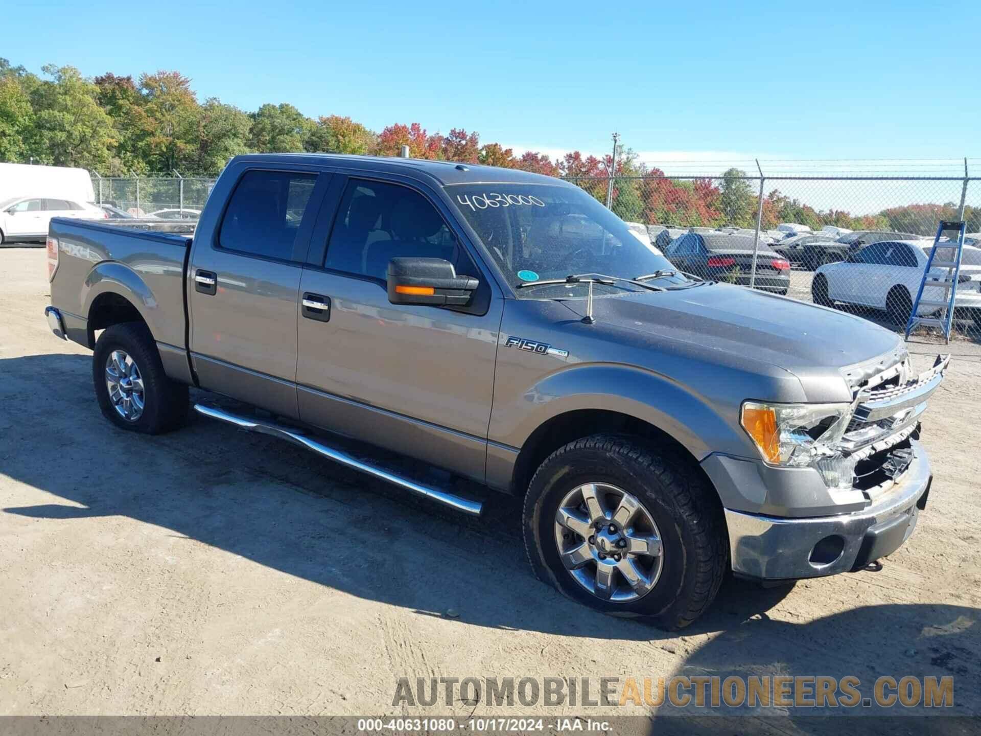 1FTFW1EF3DFD66050 FORD F-150 2013