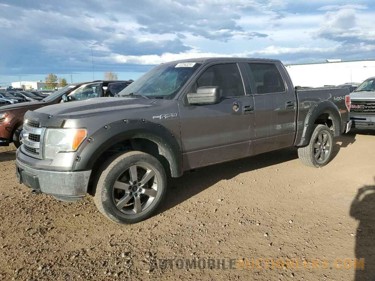 1FTFW1EF5DFD35558 FORD F-150 2013