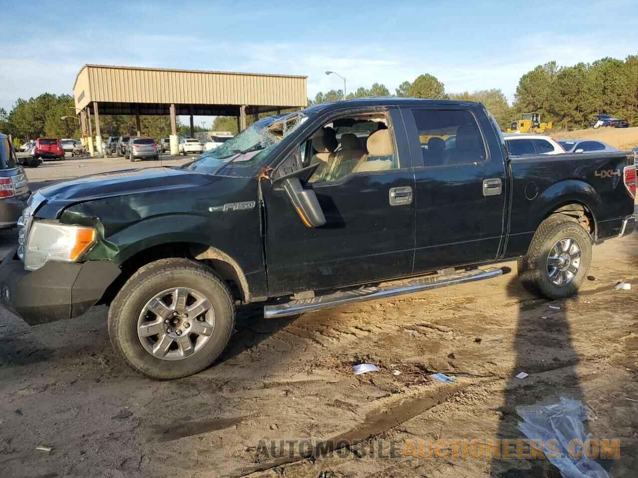 1FTFW1EF5DFD61786 FORD F-150 2013