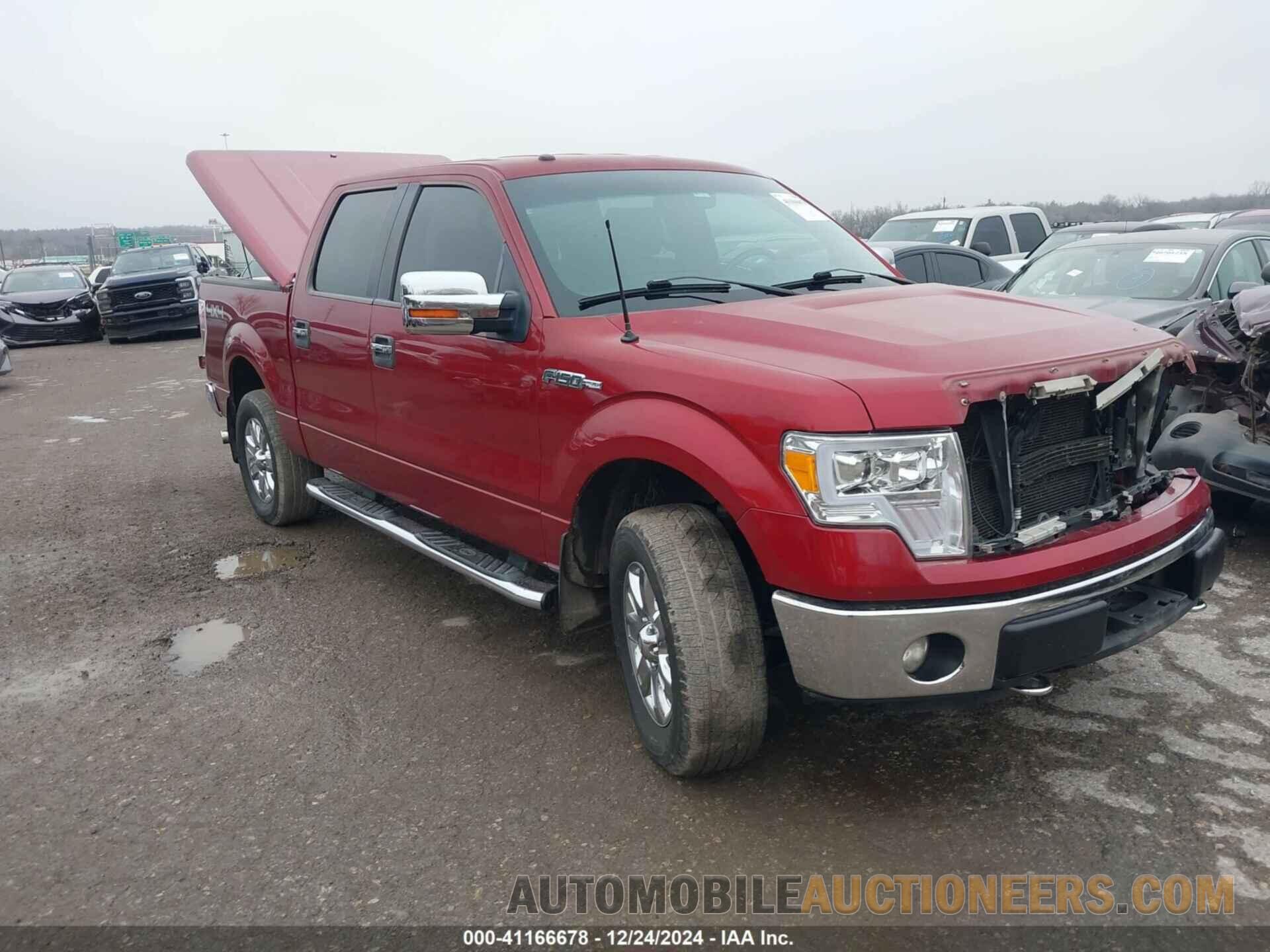 1FTFW1EF5DKD79924 FORD F-150 2013