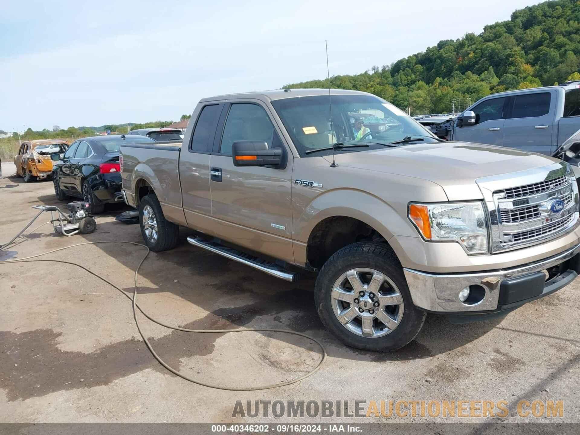 1FTFX1CTXDFD46920 FORD F-150 2013