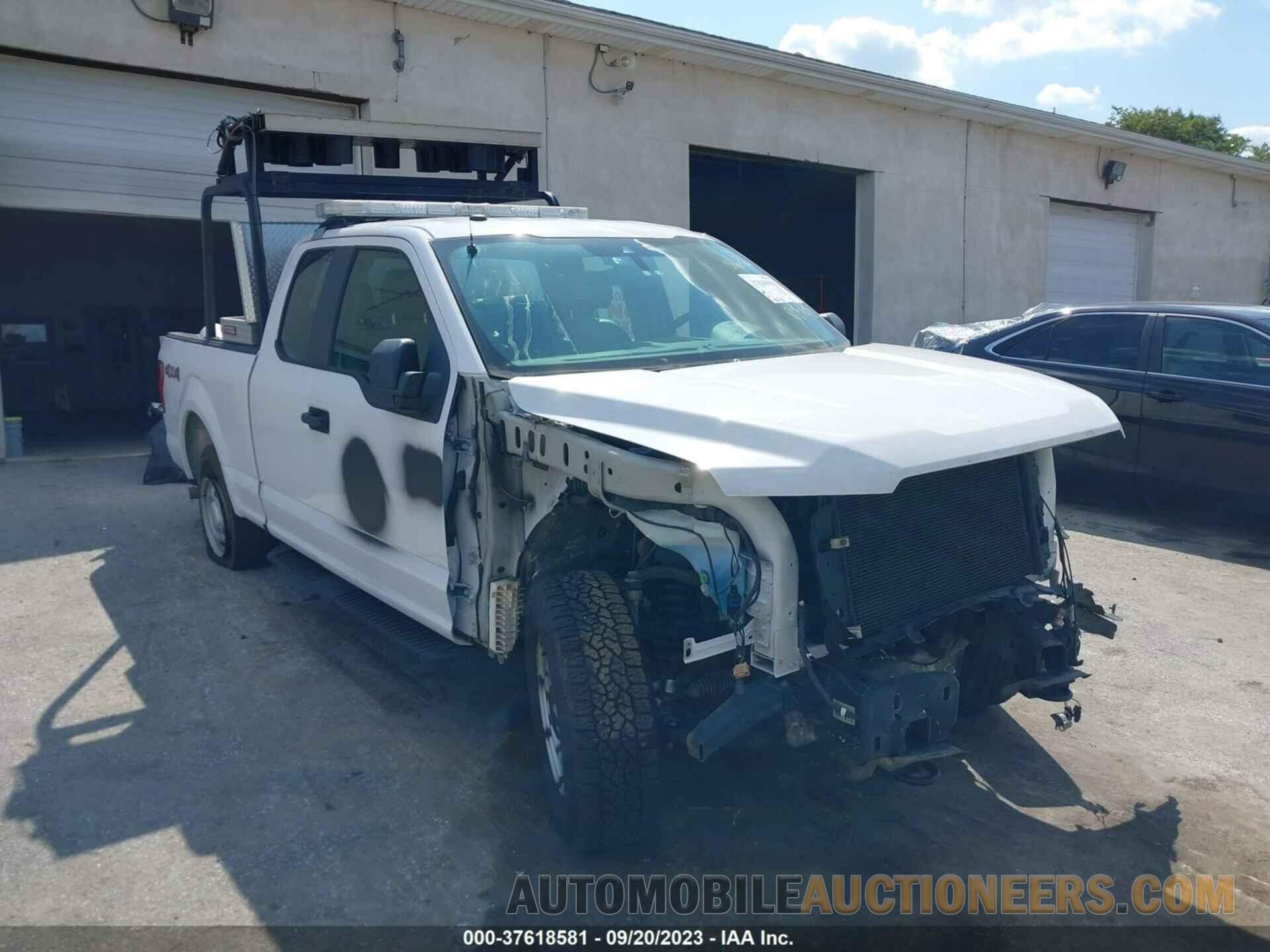 1FTFX1E56KKC05698 FORD F-150 2019