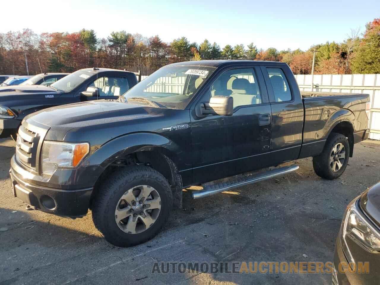 1FTFX1EF1BFA67697 FORD F-150 2011