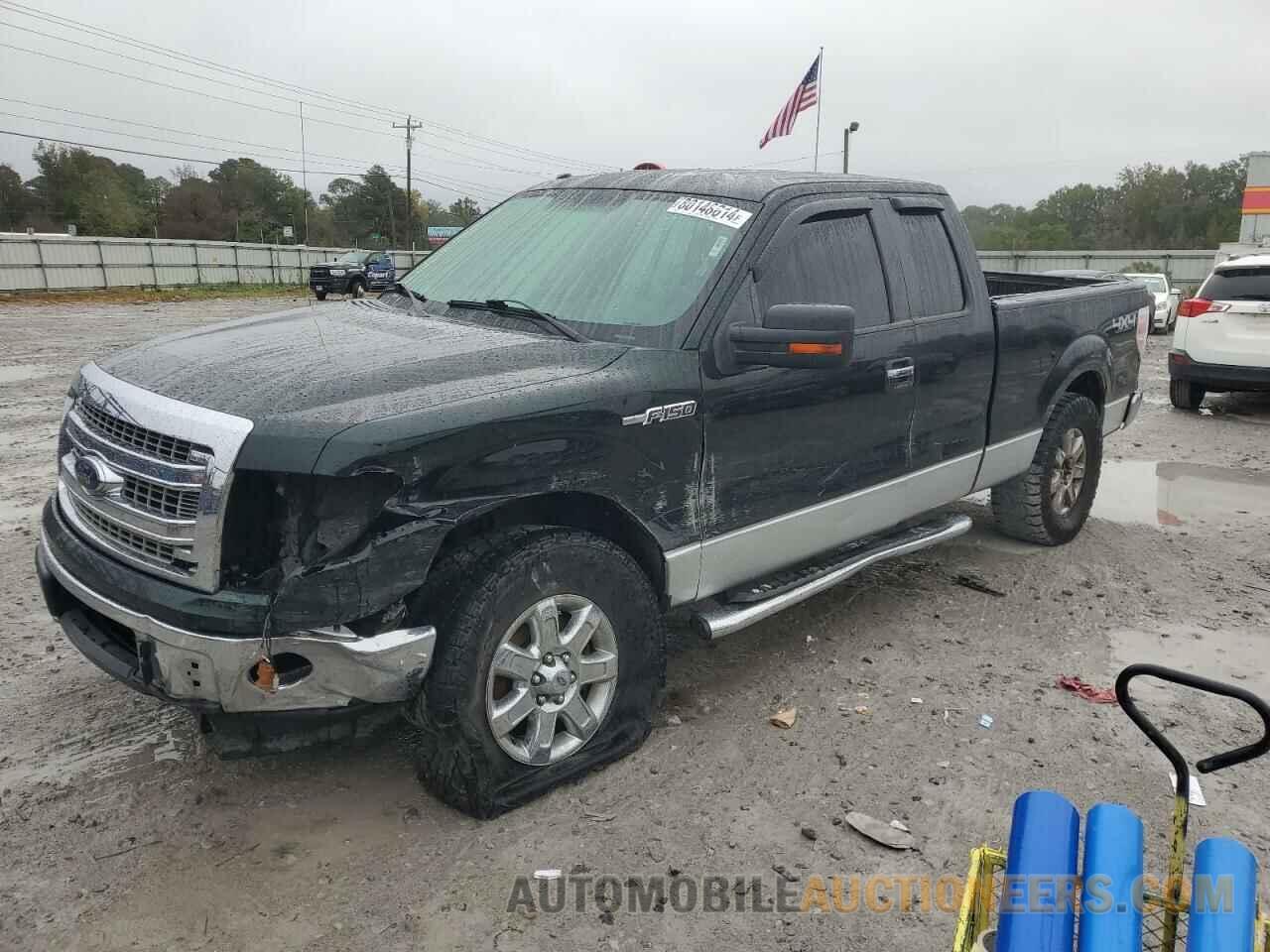 1FTFX1EF2DFC25774 FORD F-150 2013