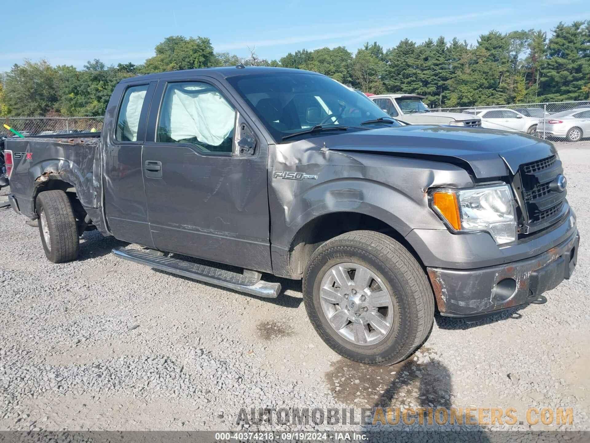 1FTFX1EF5DFB94584 FORD F-150 2013