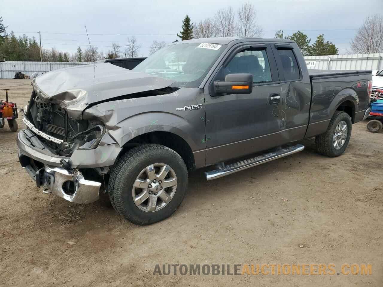 1FTFX1EF5EFB20499 FORD F-150 2014