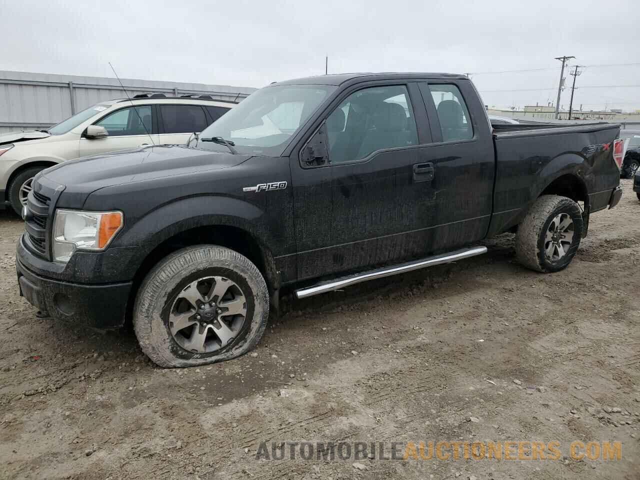 1FTFX1EF7DFA23738 FORD F-150 2013