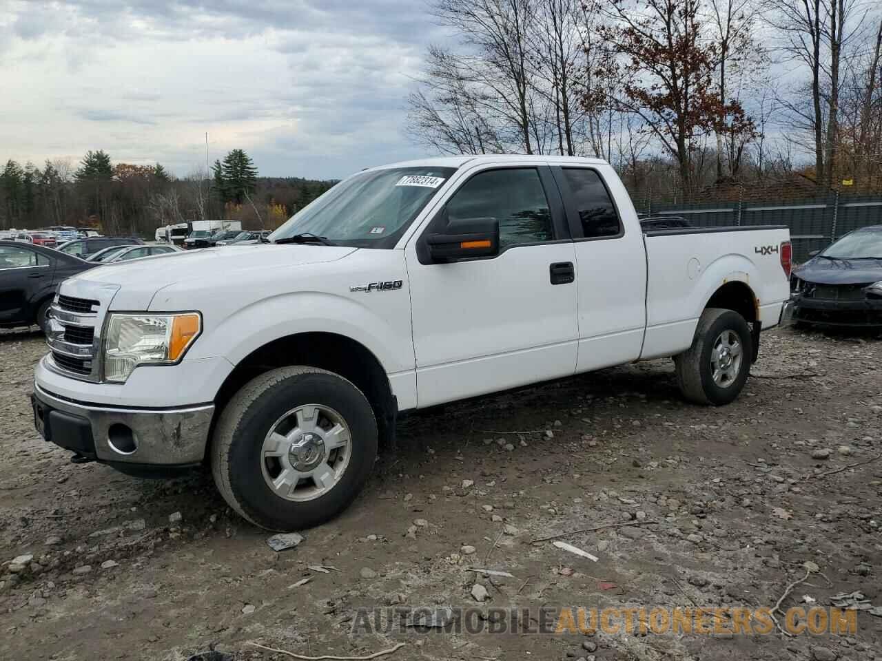 1FTFX1EFXDKF29183 FORD F-150 2013