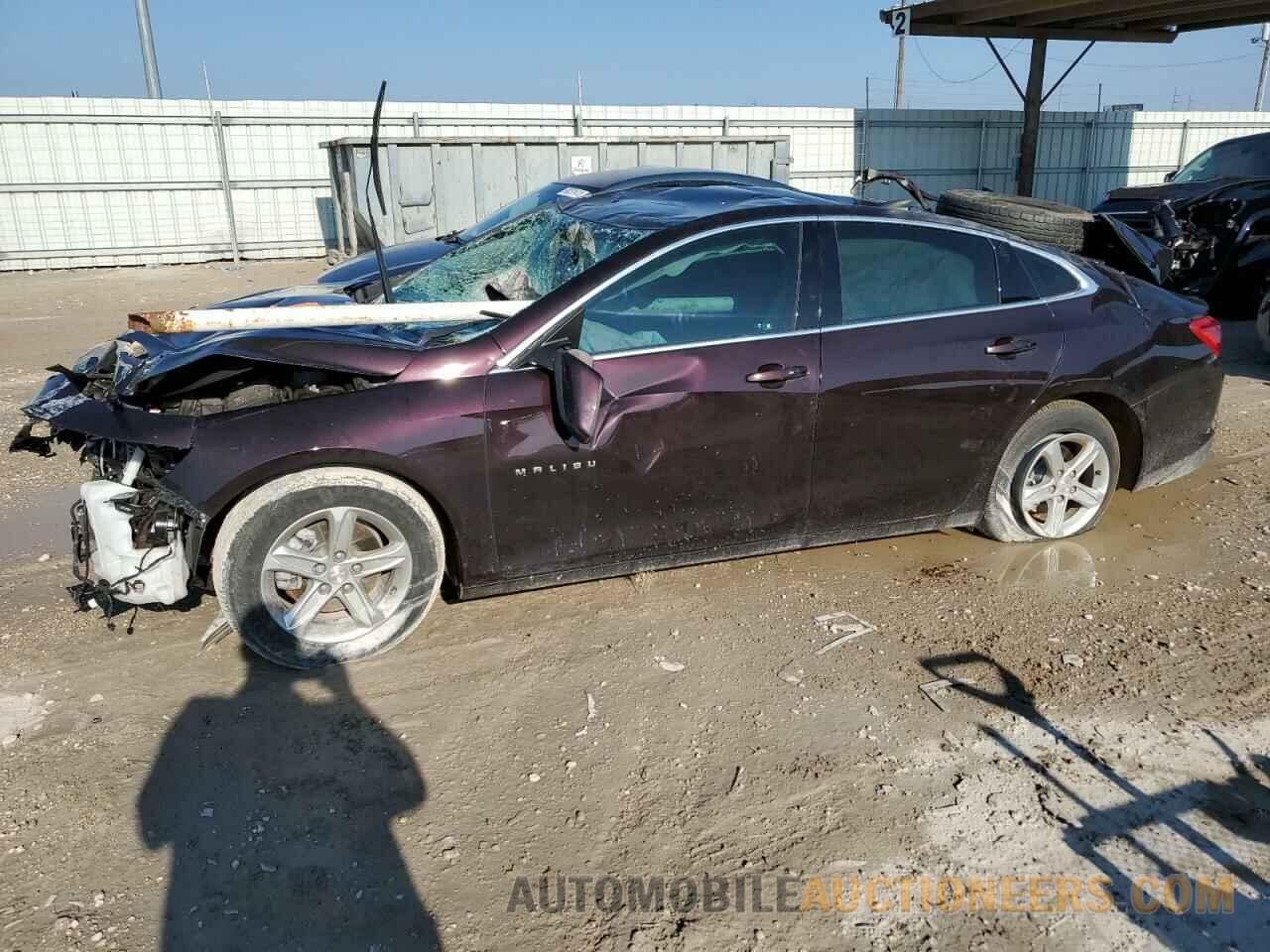 1G1ZB5ST5MF058333 CHEVROLET MALIBU 2021