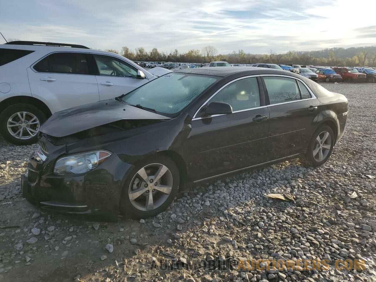 1G1ZC5E19BF187678 CHEVROLET MALIBU 2011