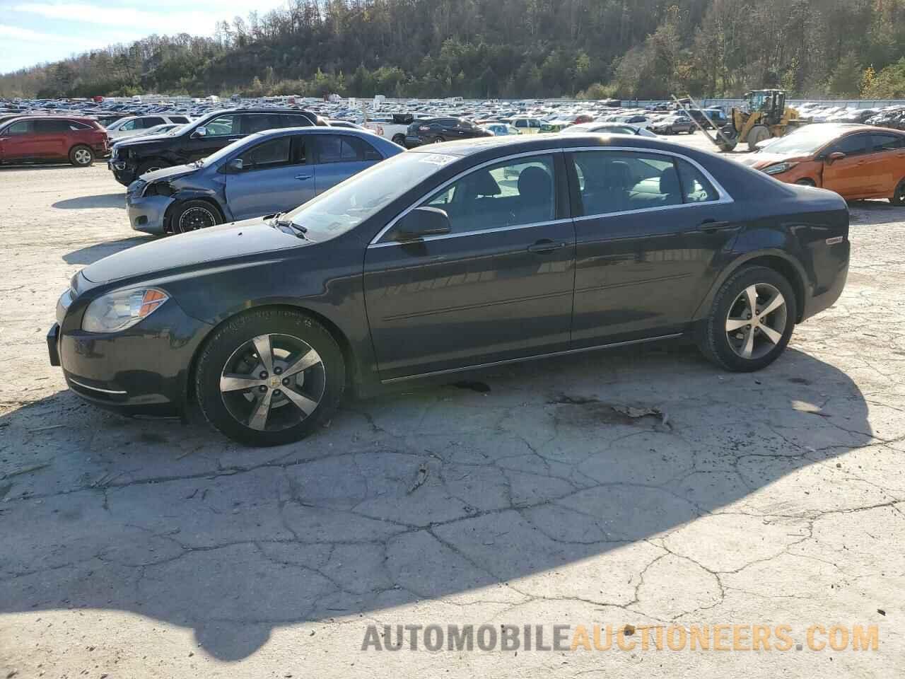 1G1ZC5EU7BF190444 CHEVROLET MALIBU 2011