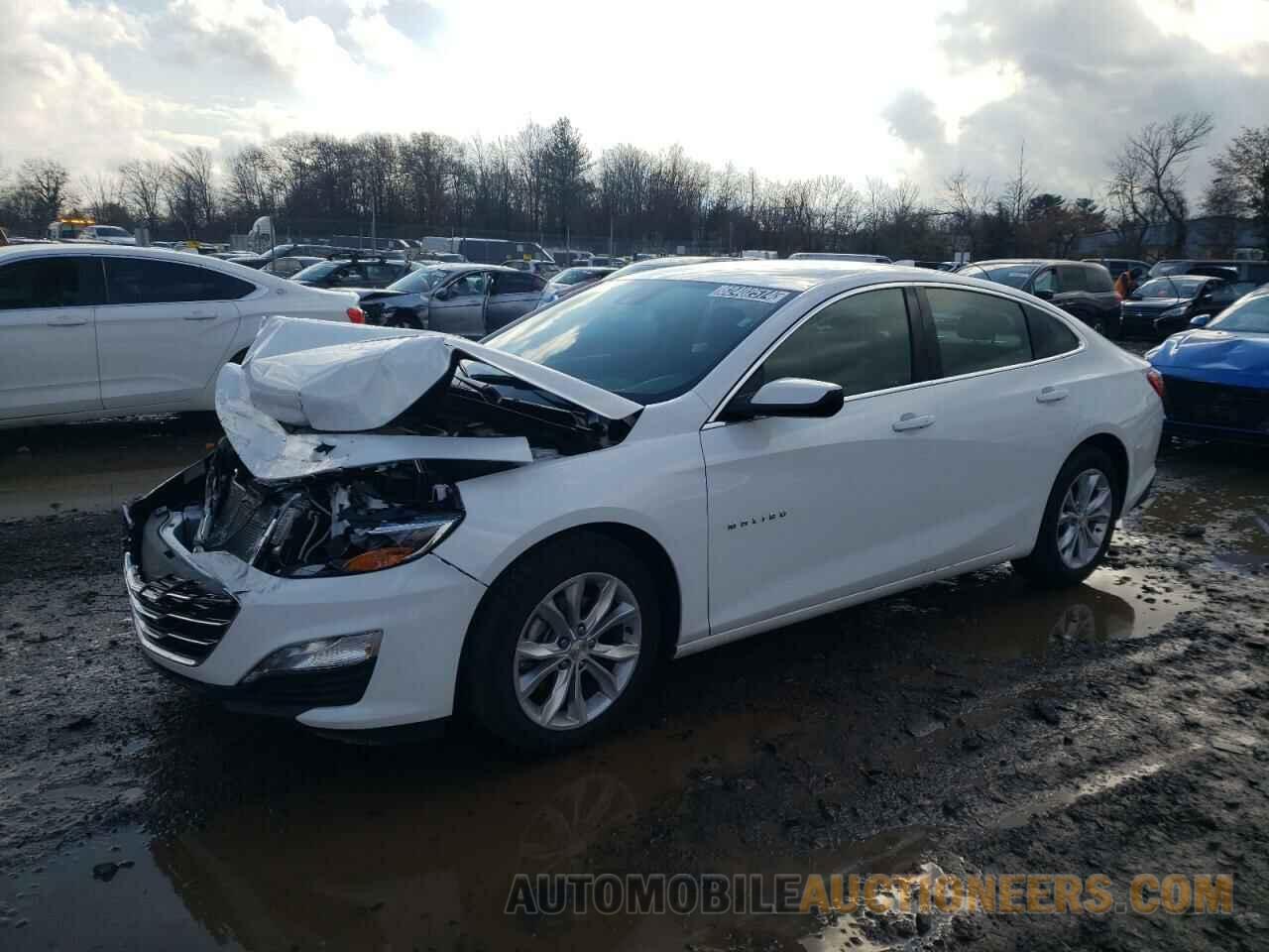 1G1ZD5ST7RF171024 CHEVROLET MALIBU 2024