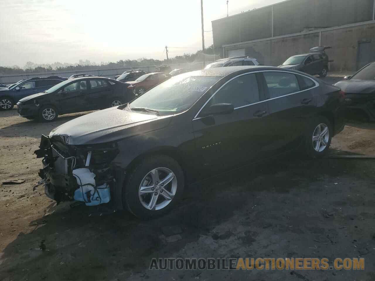 1G1ZD5ST7RF240357 CHEVROLET MALIBU 2024