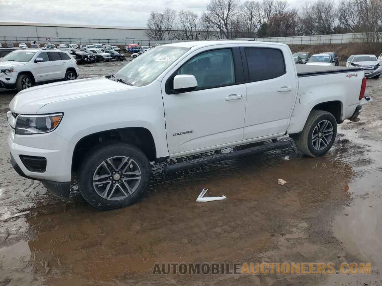 1GCGTBENXK1225349 CHEVROLET COLORADO 2019