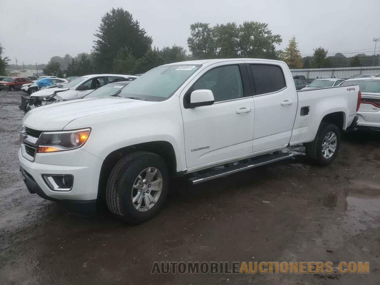 1GCGTCEN0K1259094 CHEVROLET COLORADO 2019