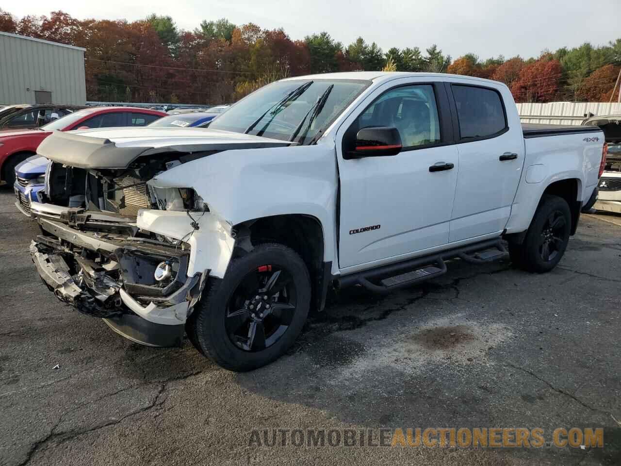 1GCGTCEN5N1110894 CHEVROLET COLORADO 2022