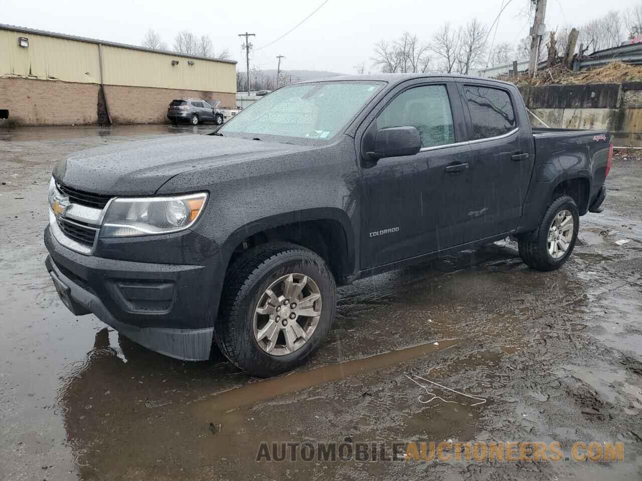 1GCGTCEN7K1119706 CHEVROLET COLORADO 2019