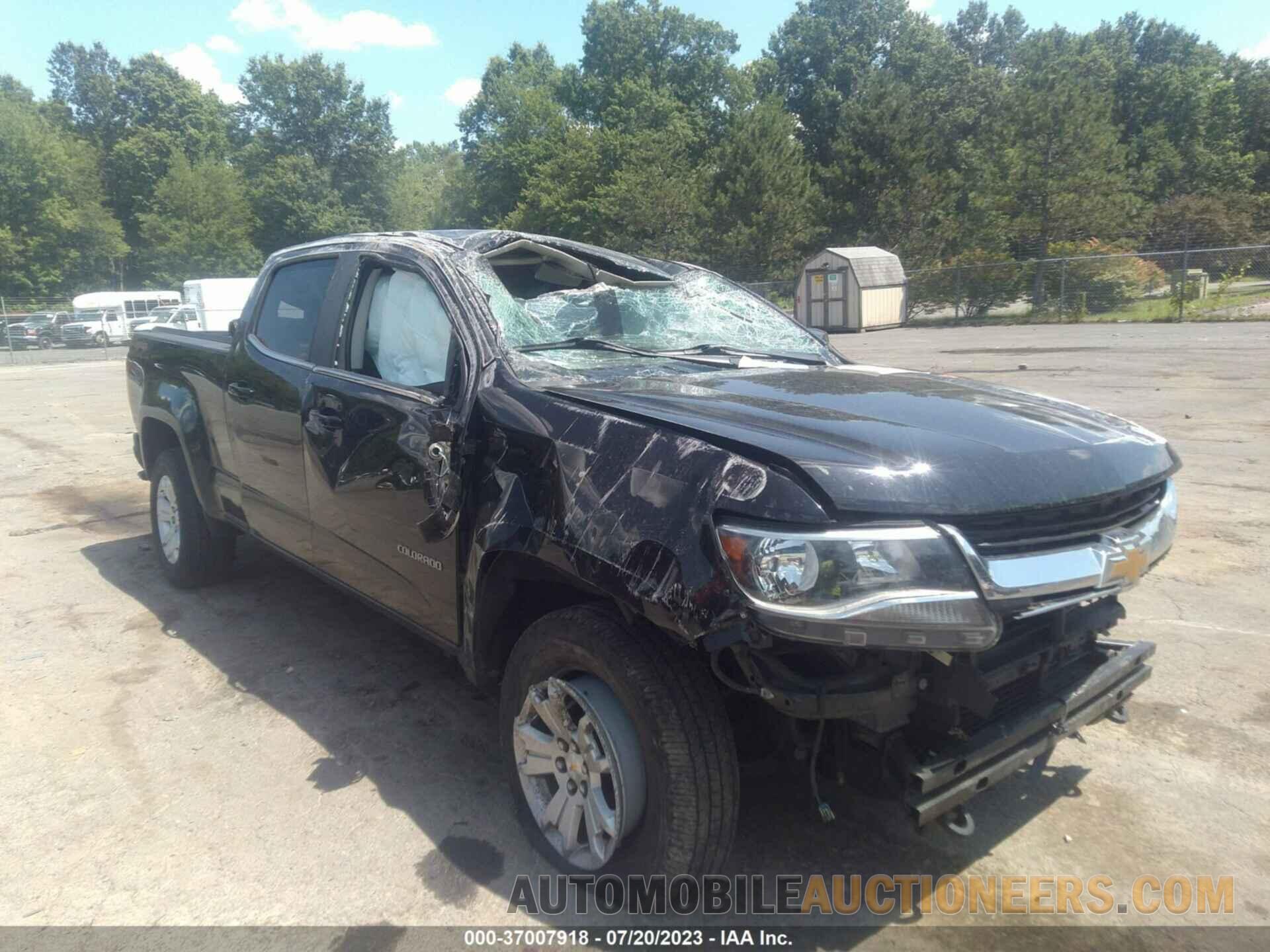 1GCGTCEN8K1187075 CHEVROLET COLORADO 2019