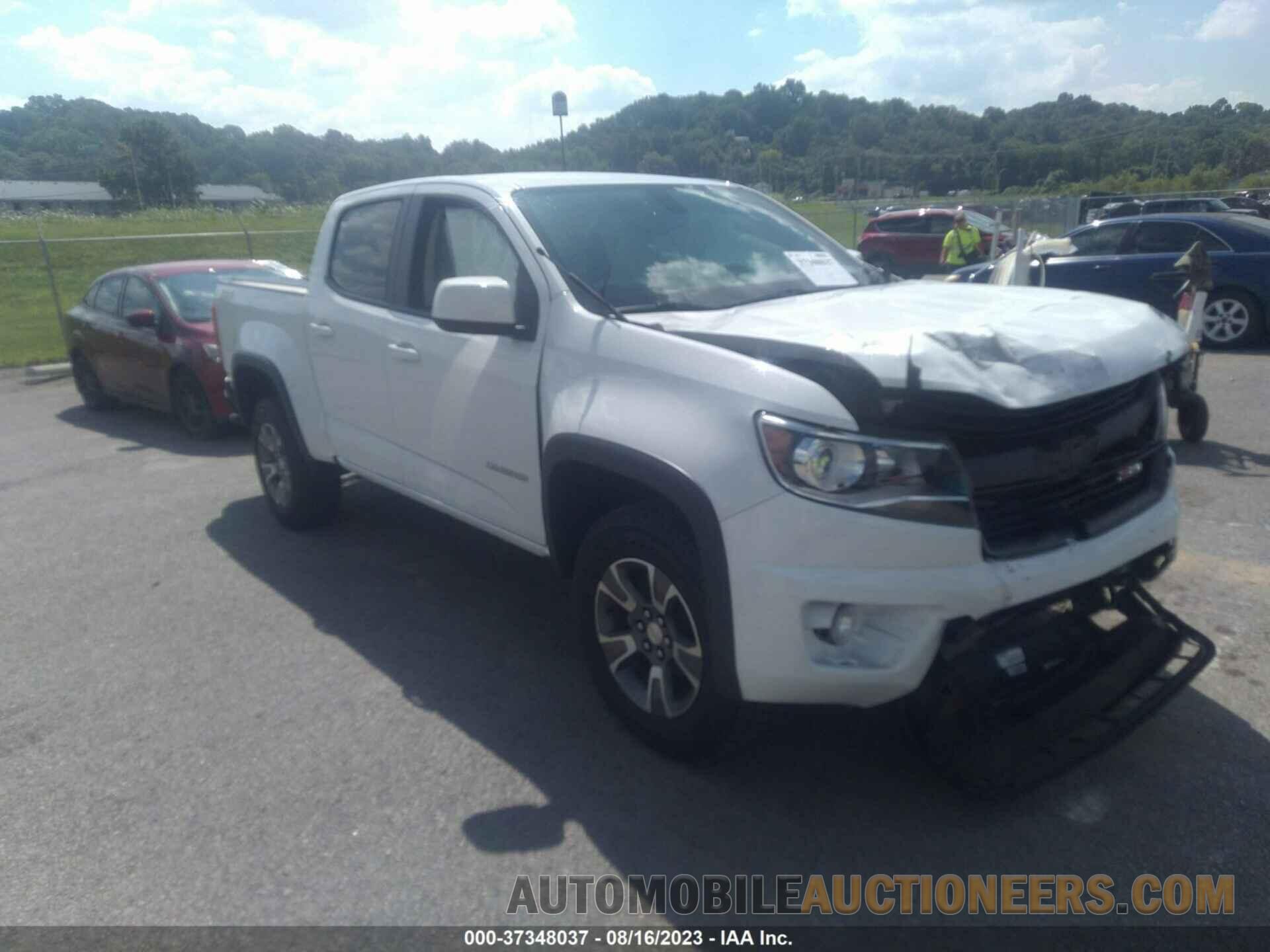 1GCGTDEN7K1262564 CHEVROLET COLORADO 2019