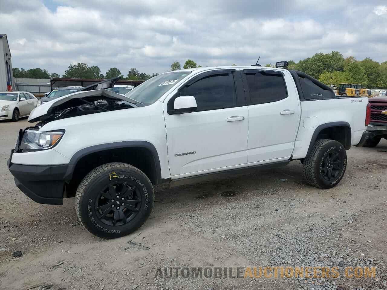 1GCGTEEN3K1239725 CHEVROLET COLORADO 2019