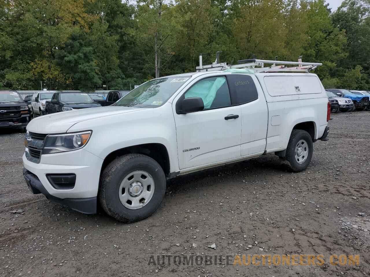 1GCHTBEA7K1246676 CHEVROLET COLORADO 2019