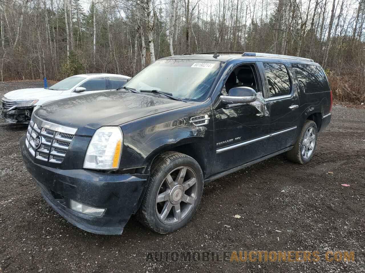 1GYS4JEF0BR136864 CADILLAC ESCALADE 2011