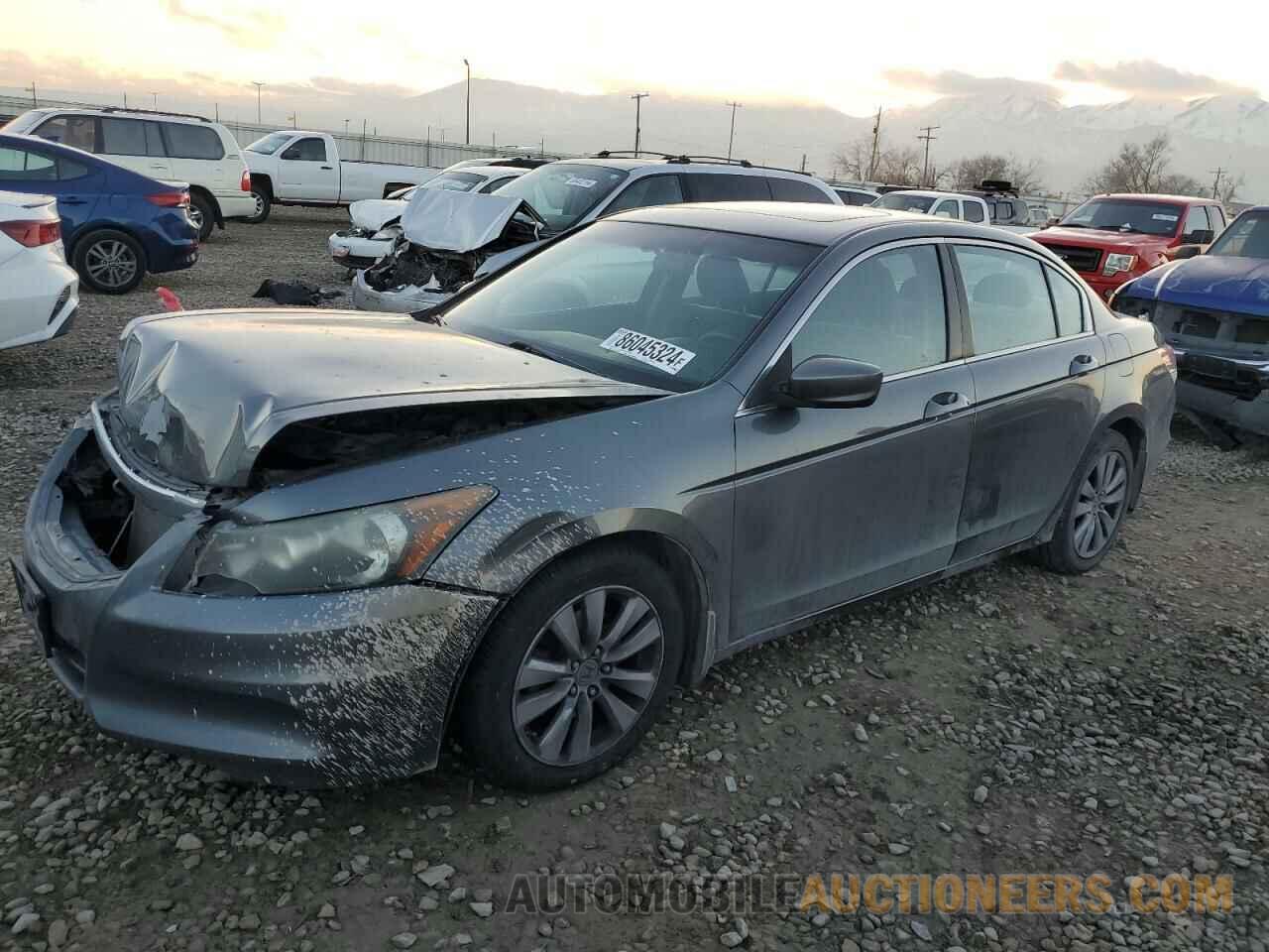 1HGCP2F70BA091391 HONDA ACCORD 2011