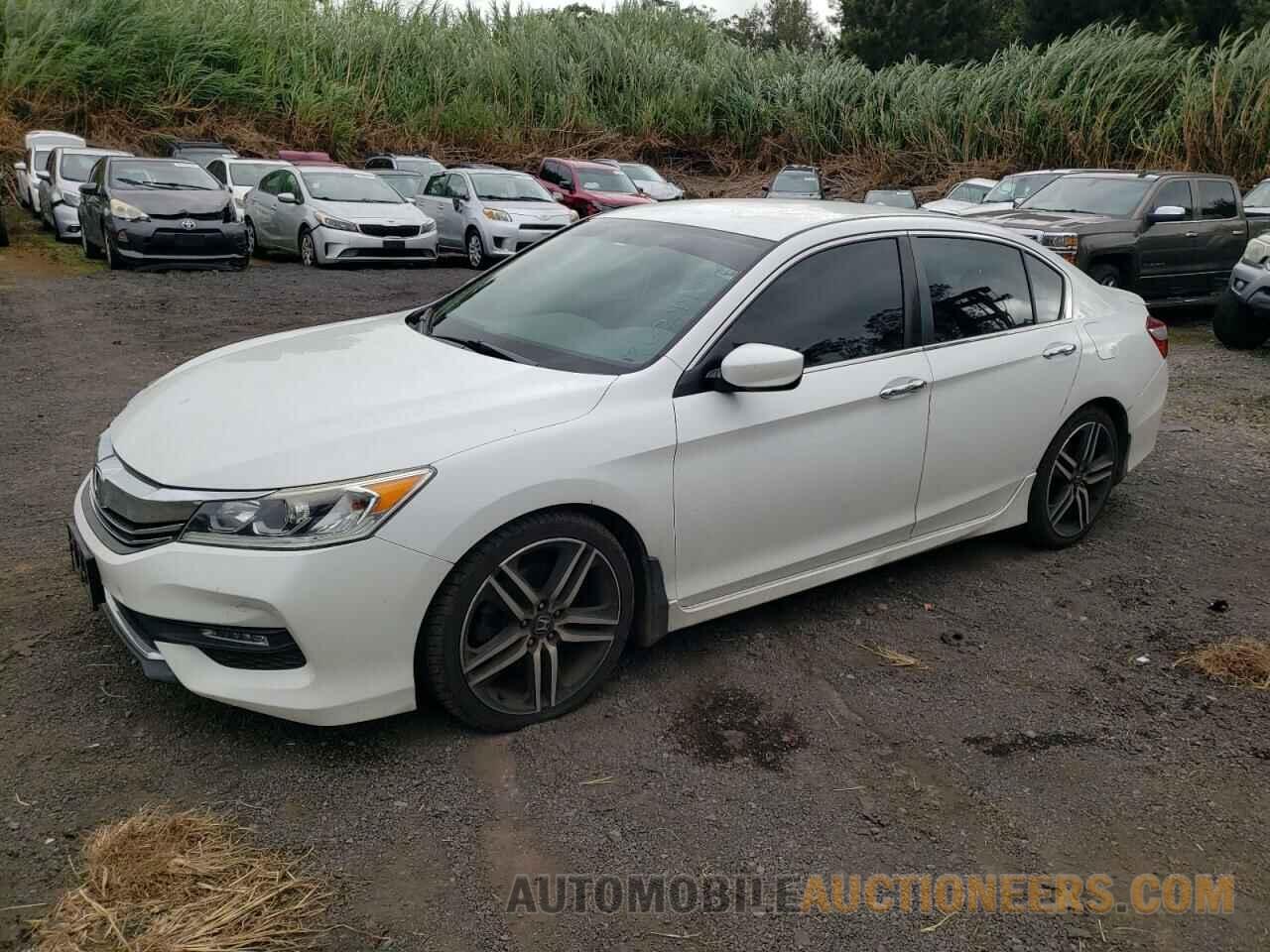 1HGCR2F13HA001262 HONDA ACCORD 2017