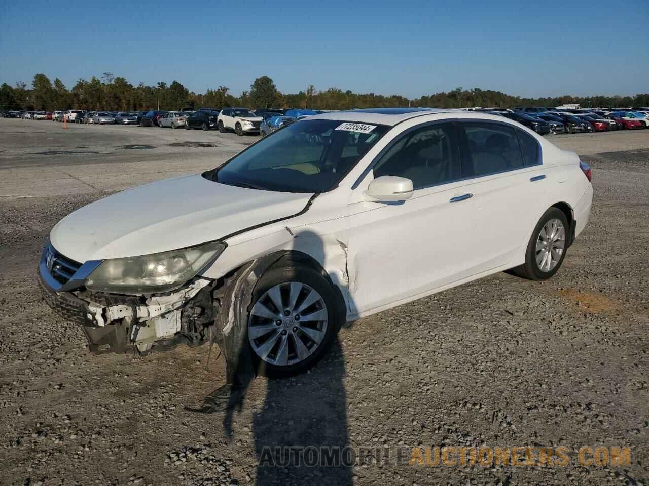 1HGCR3F81FA026306 HONDA ACCORD 2015