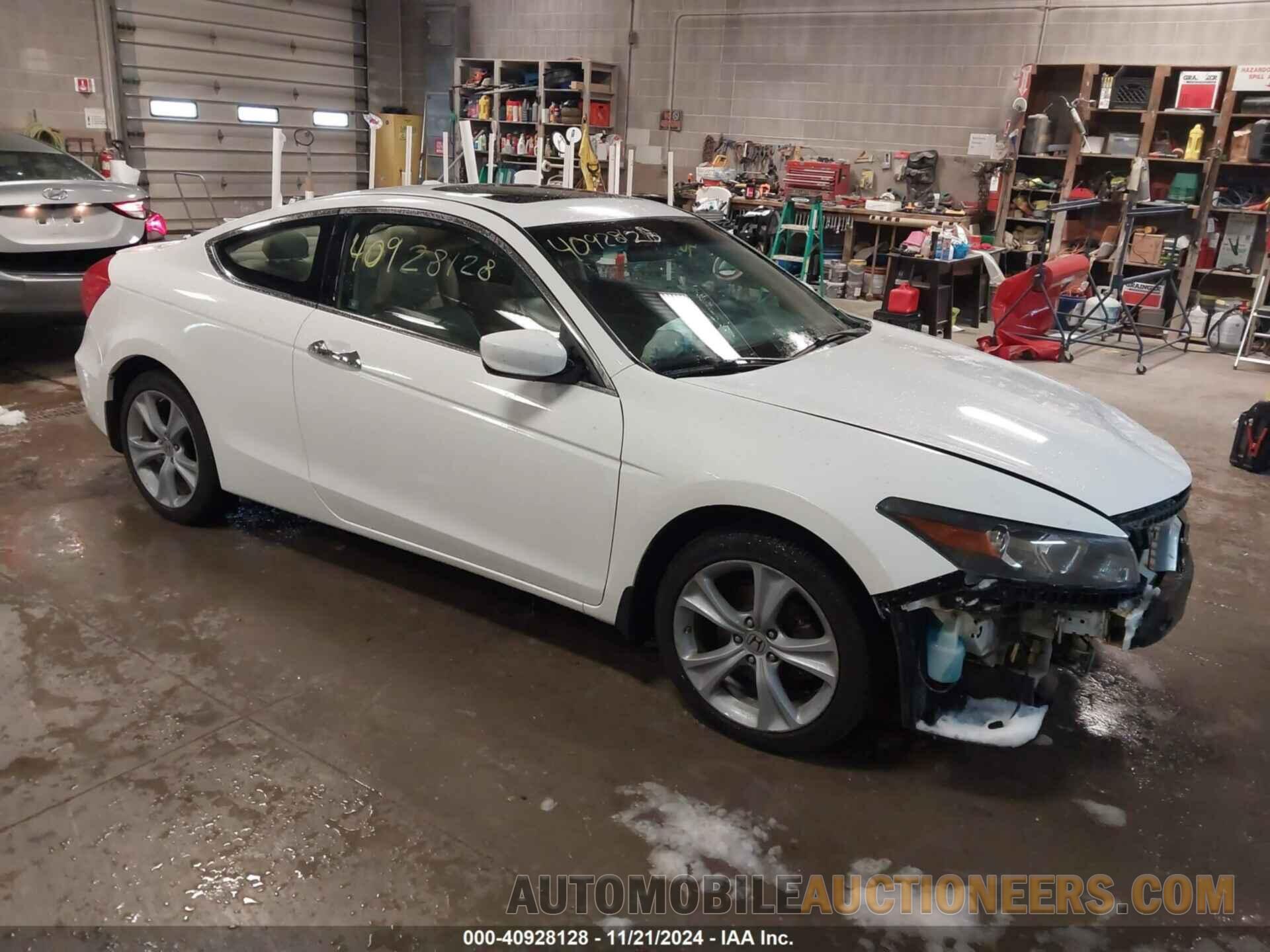 1HGCS2B88BA003118 HONDA ACCORD 2011